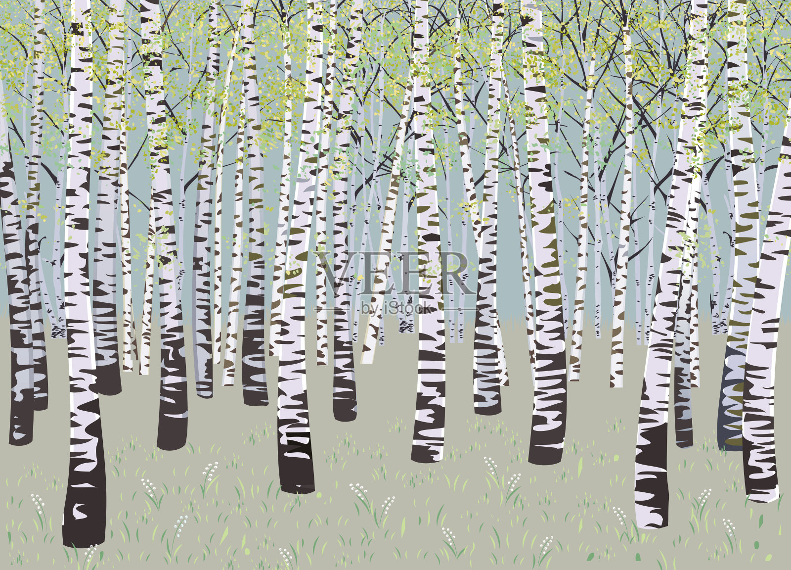 桦树插画图片素材