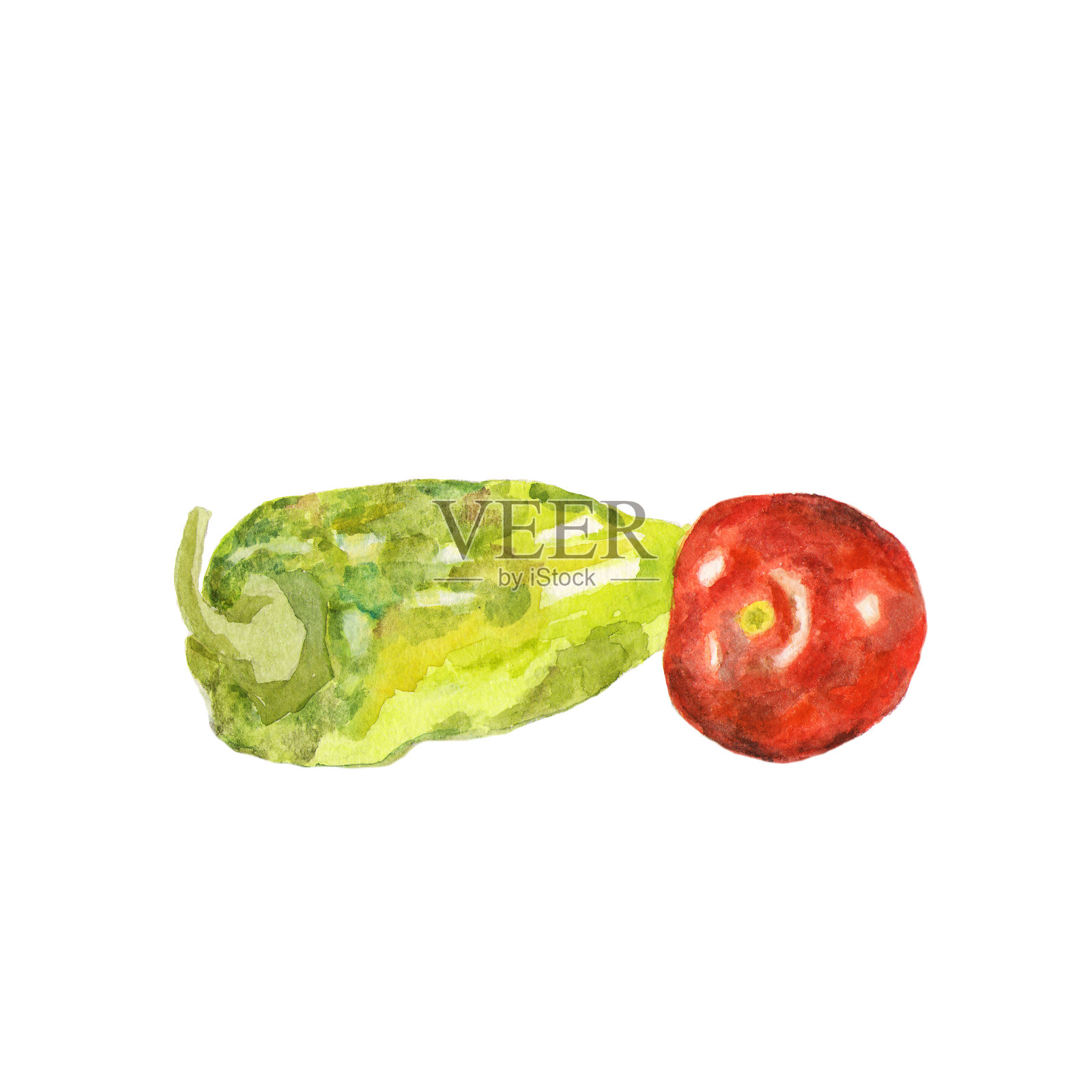 水彩手绘蔬菜。生态食品的背景。健康饮食。番茄、辣椒插画图片素材