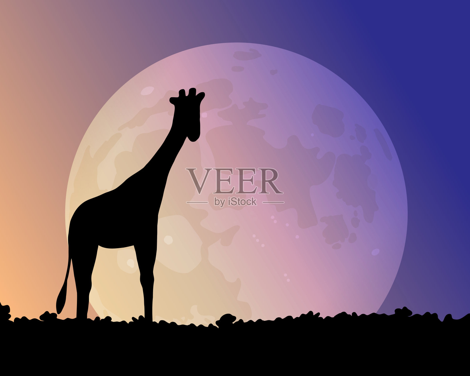 夜空中的大月亮。长颈鹿的剪影。插画图片素材
