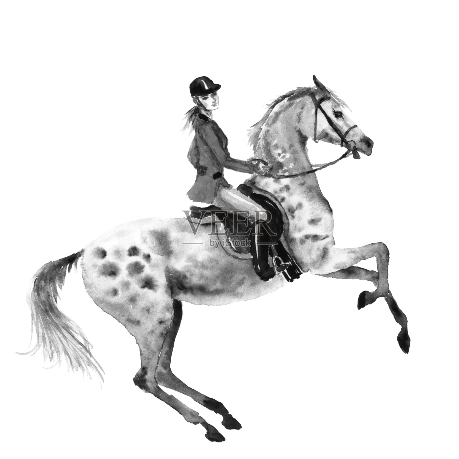 马背上的骑手和养着斑纹灰马。黑白单色水彩或水墨手绘插图。插画图片素材