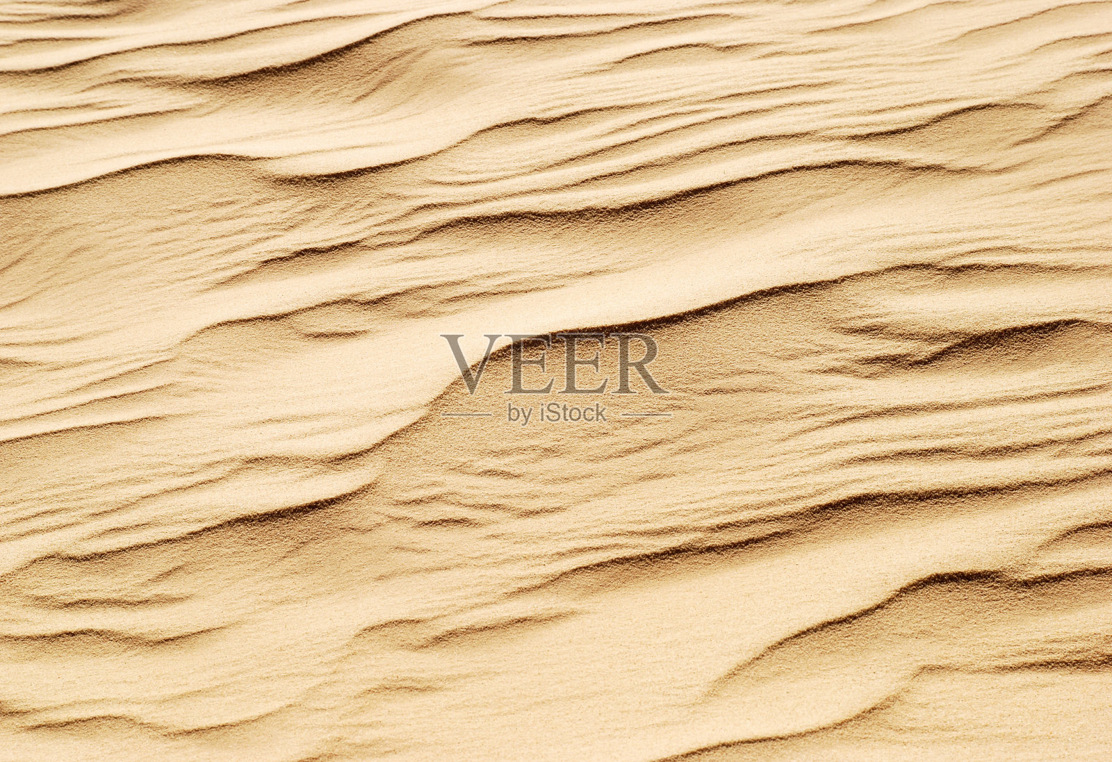 美丽的波浪图案在沙漠的沙子照片摄影图片