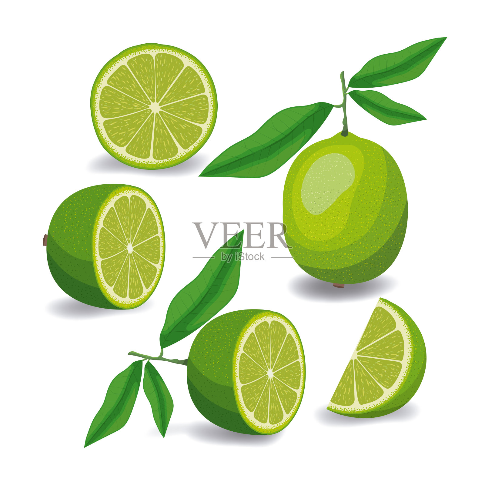 整个柠檬水果和切成彩色轮廓在白色的背景设计元素图片