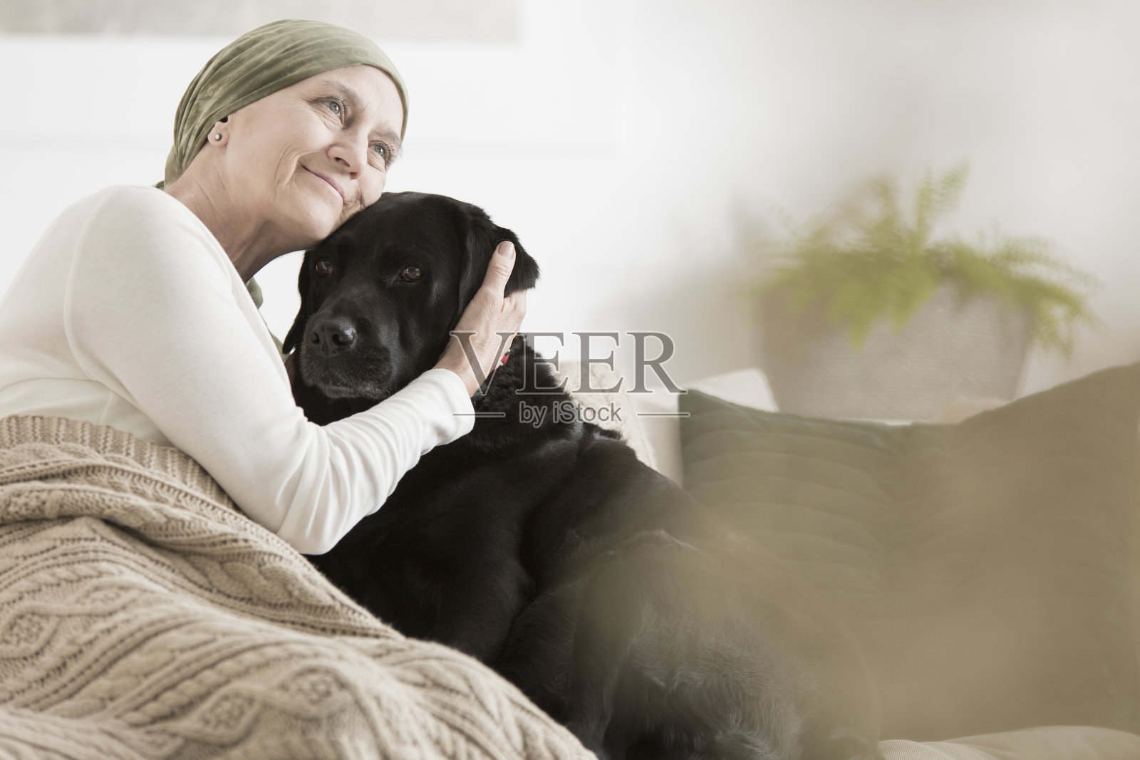 生病的女人抱着她的宠物照片摄影图片