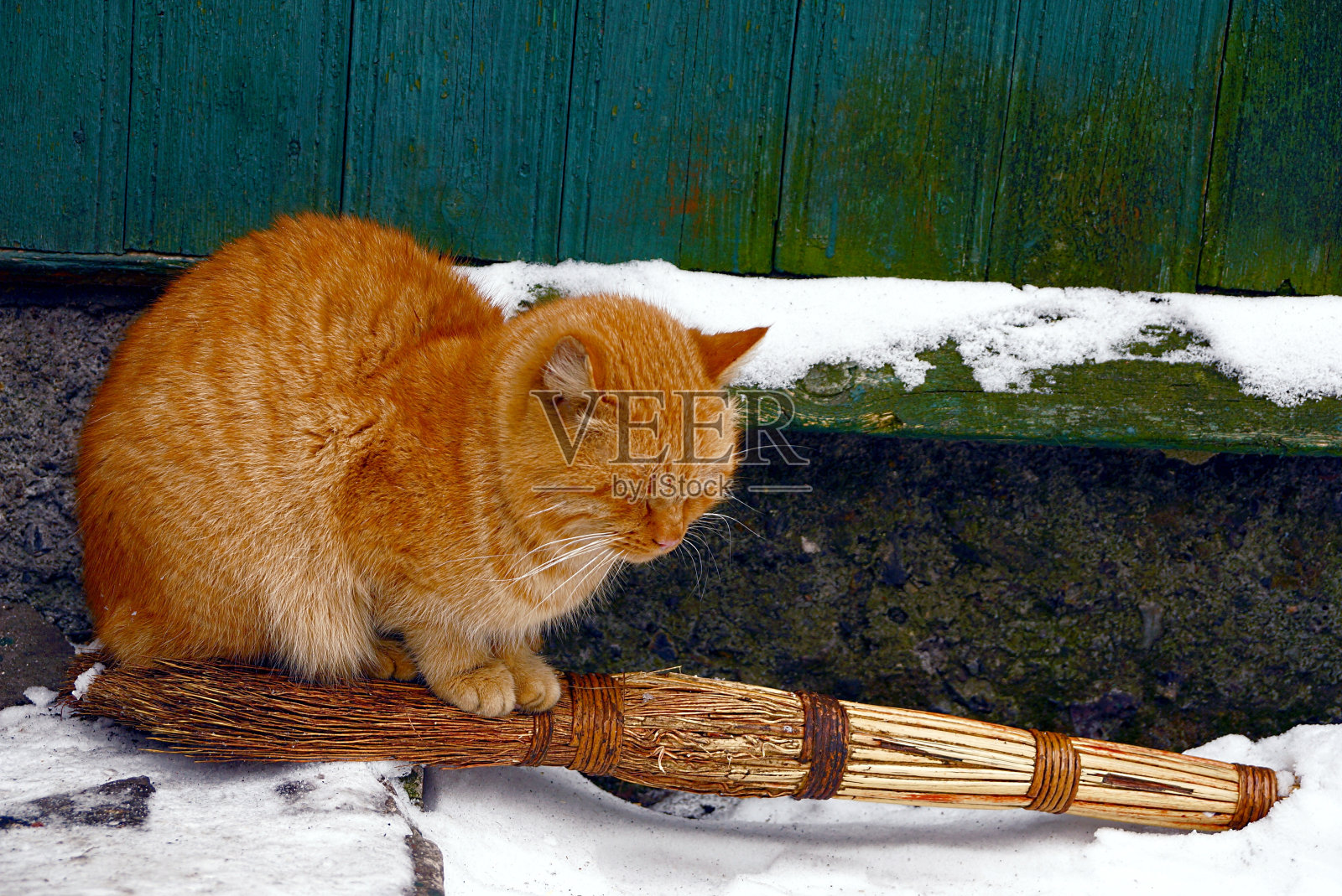 红猫坐在墙边雪地上的扫帚上照片摄影图片