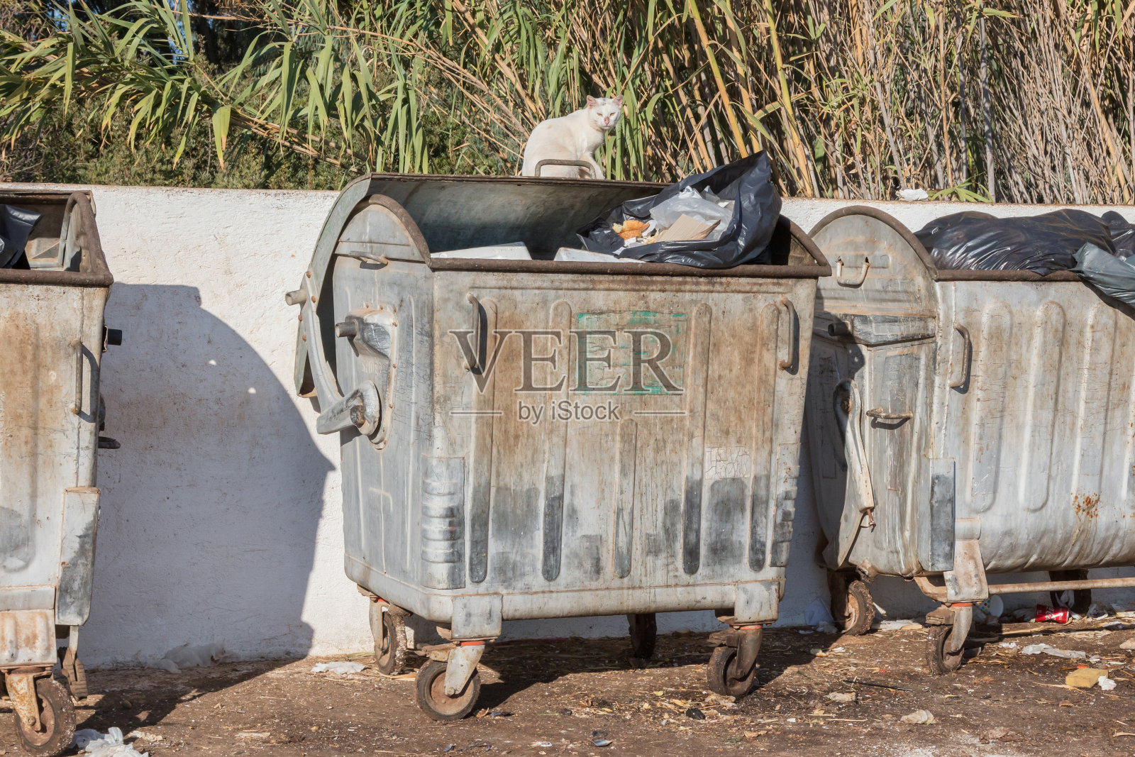 希腊的垃圾桶照片摄影图片