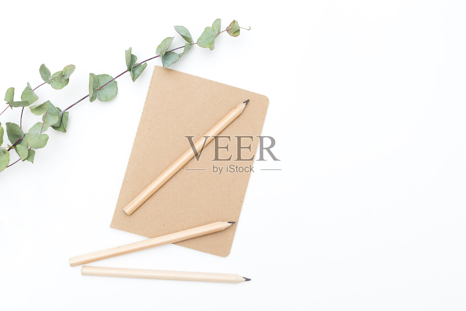 白色背景上有铅笔和桉树花的笔记本。Mininmalist风格照片摄影图片