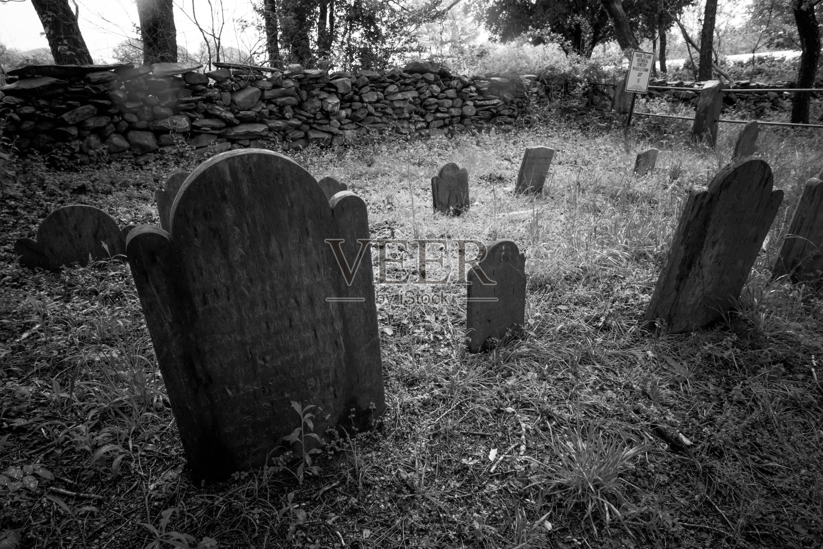 乡间小墓地里的墓碑照片摄影图片