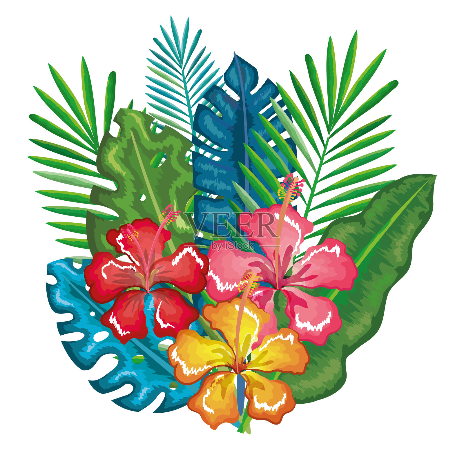 热带和异国的花和叶插画图片素材