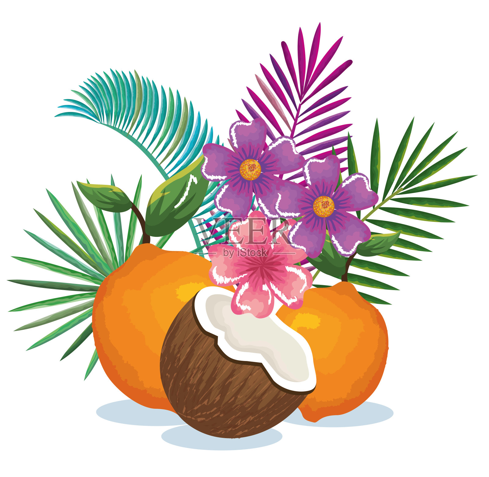 有橘子和椰子的热带花园设计元素图片