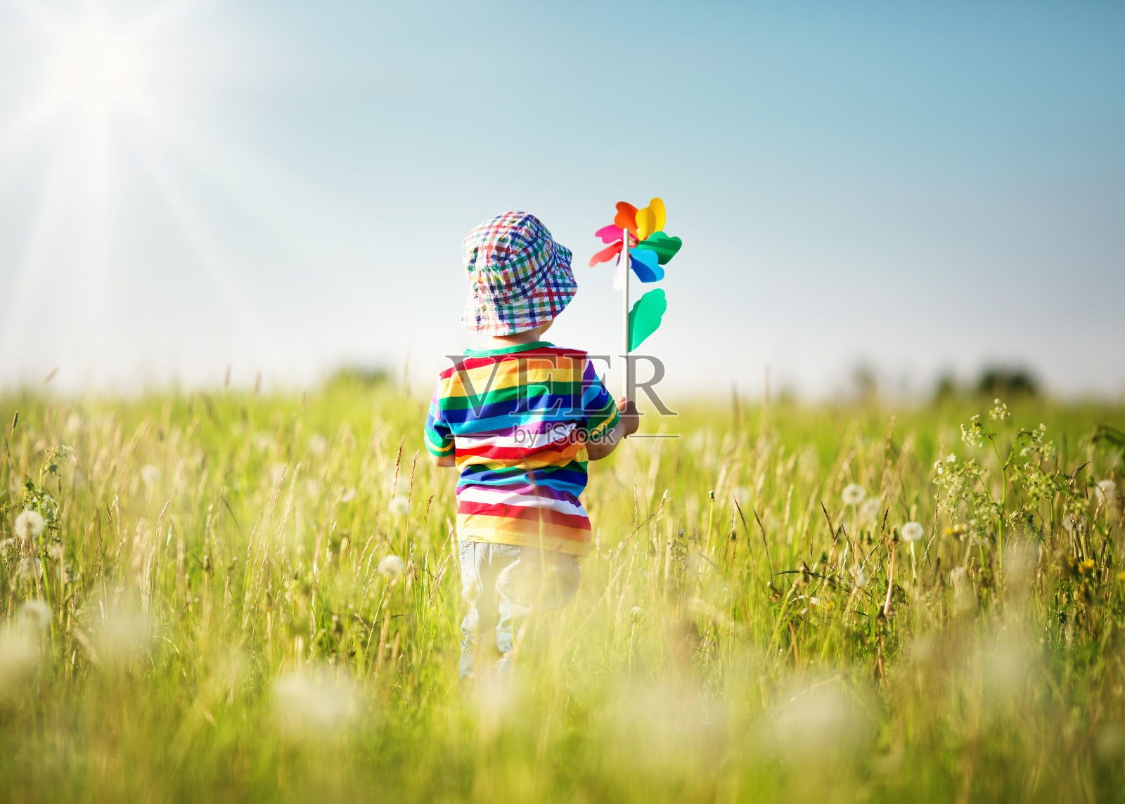 小男孩站在长满蒲公英的草地上照片摄影图片