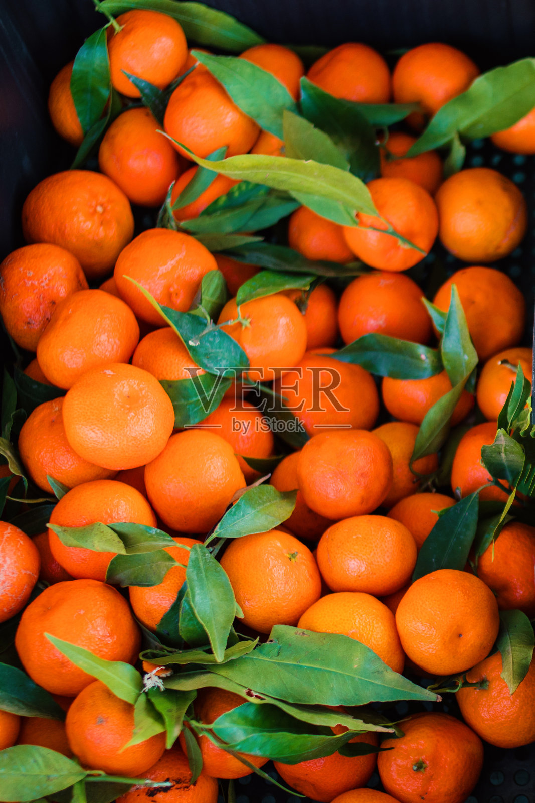 新鲜的橘子装在带有绿叶和嫩枝的木盒子里。新鲜采摘的橘子或小柑橘放在篮子里。柑橘类食物’照片摄影图片