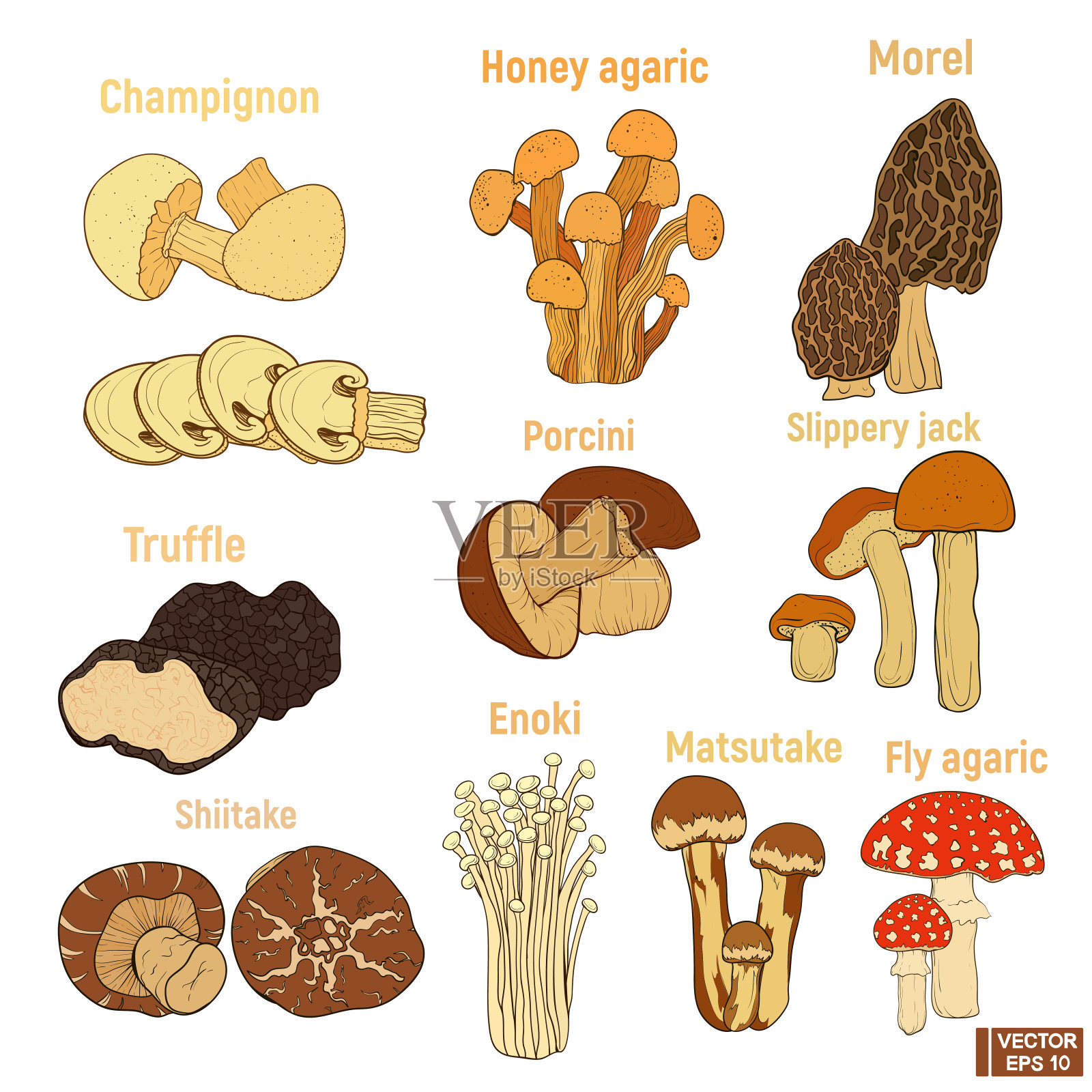 一套手绘蘑菇设计元素图片