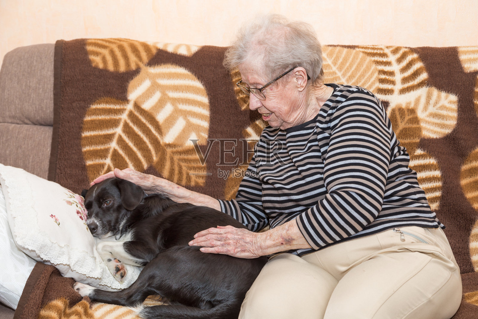 奶奶和一只狗在沙发上照片摄影图片
