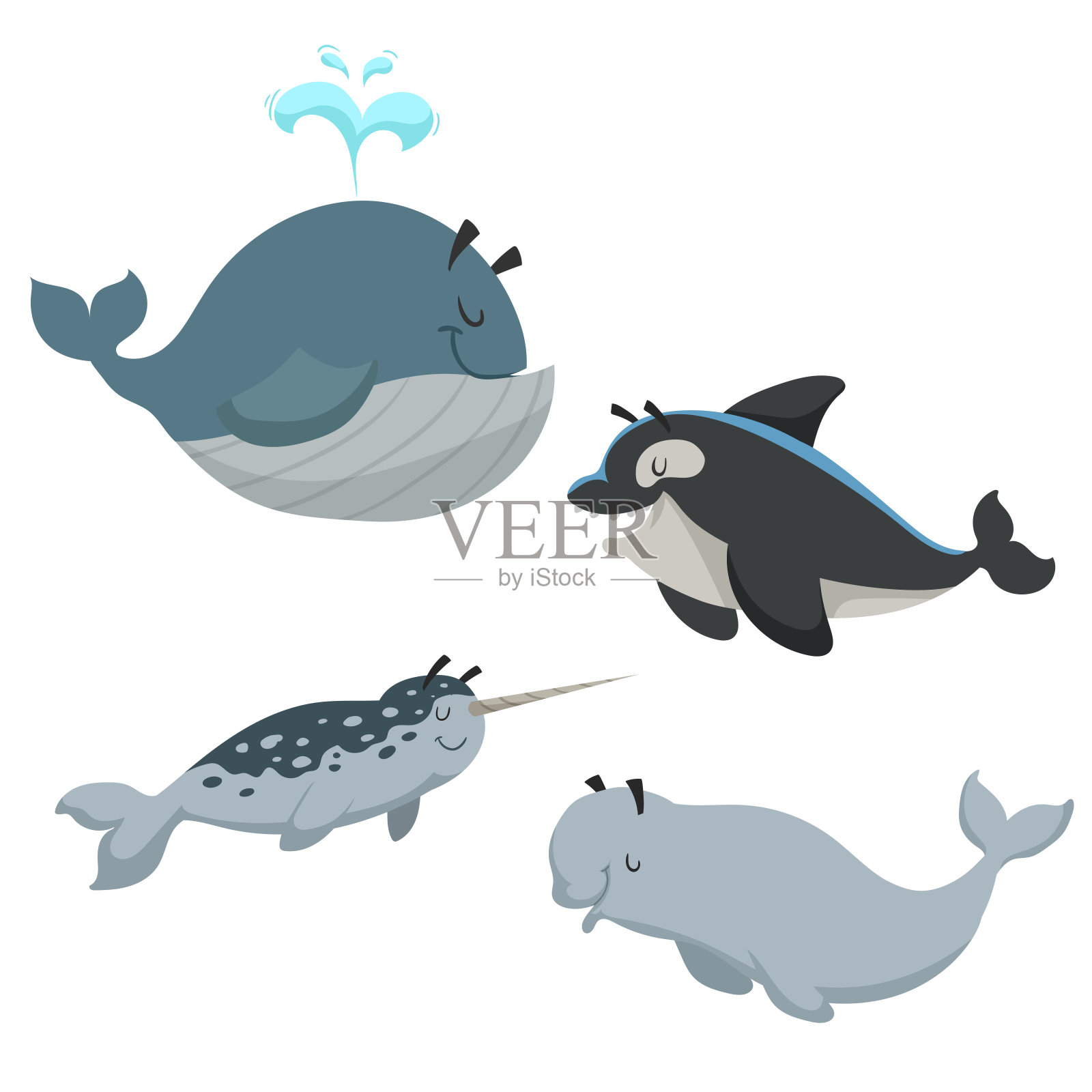 卡通肖恩动物设置。有喷泉的鲸鱼、虎鲸、白鲸和独角鲸。海洋和北方海洋的动物。儿童教育矢量插图集。设计元素图片