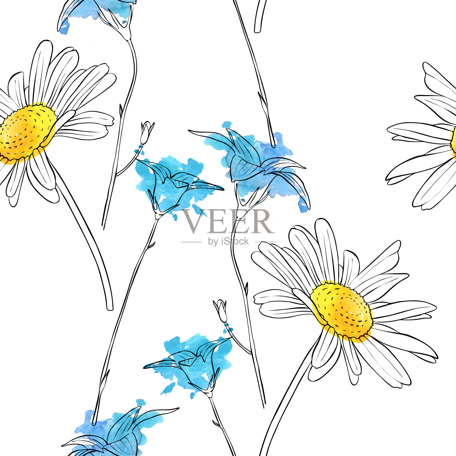 向量绘制花的雏菊插画图片素材