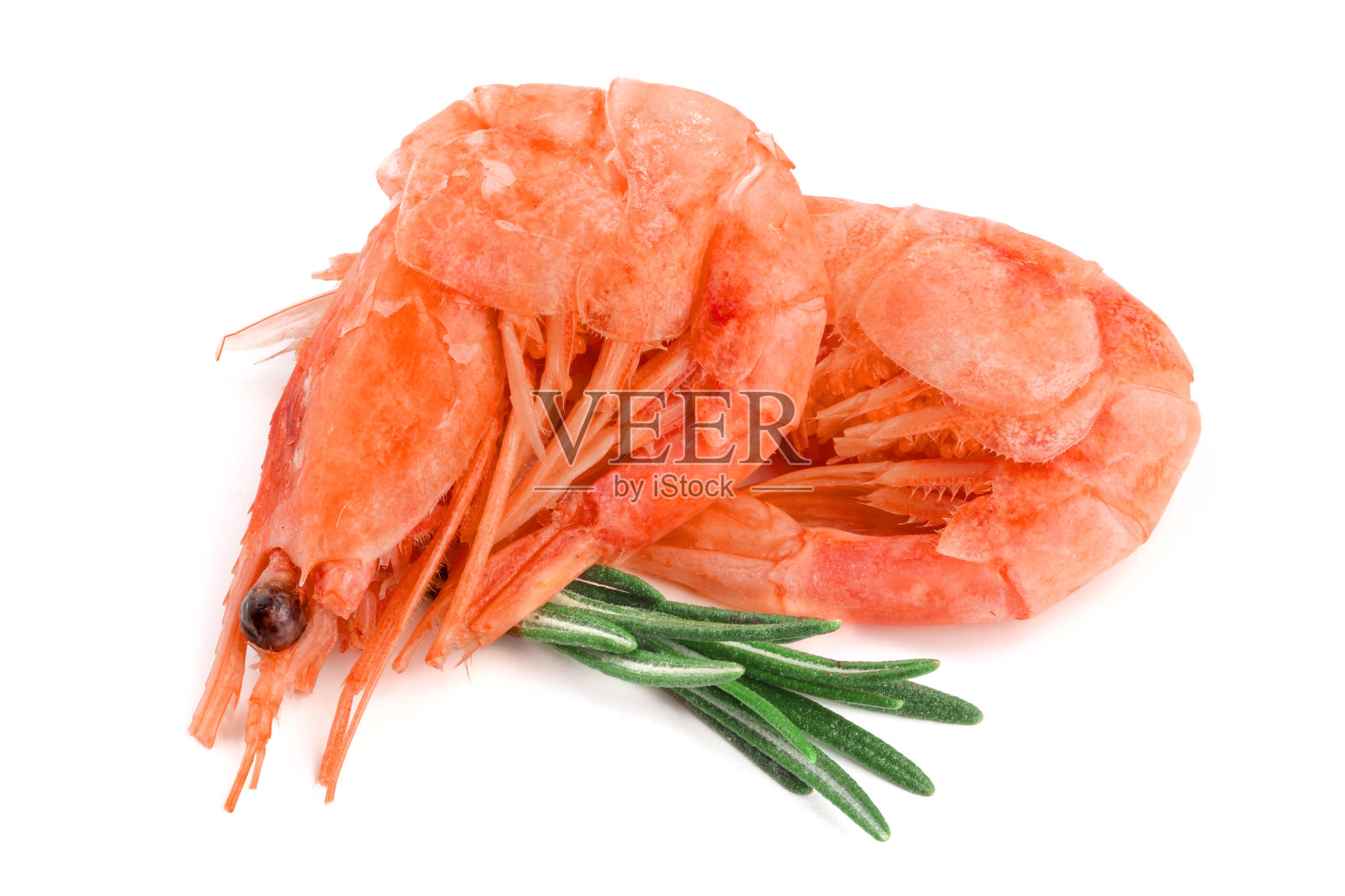 红色煮虾或虾与迷迭香孤立在白色背景照片摄影图片