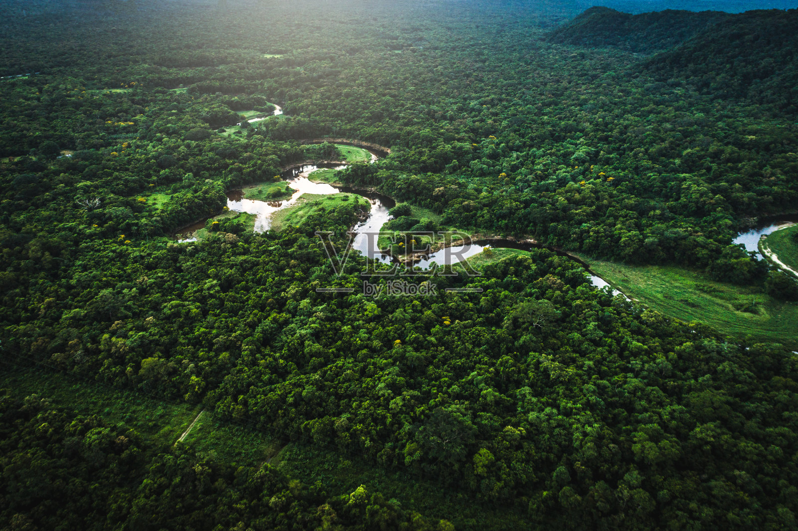 玛塔亚特兰提卡-巴西的大西洋森林照片摄影图片