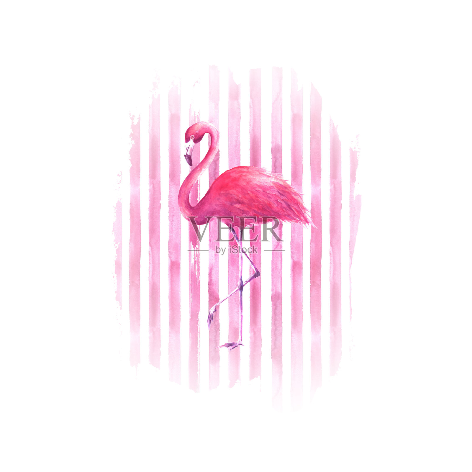 火烈鸟在水彩粉红色条纹背景插画图片素材