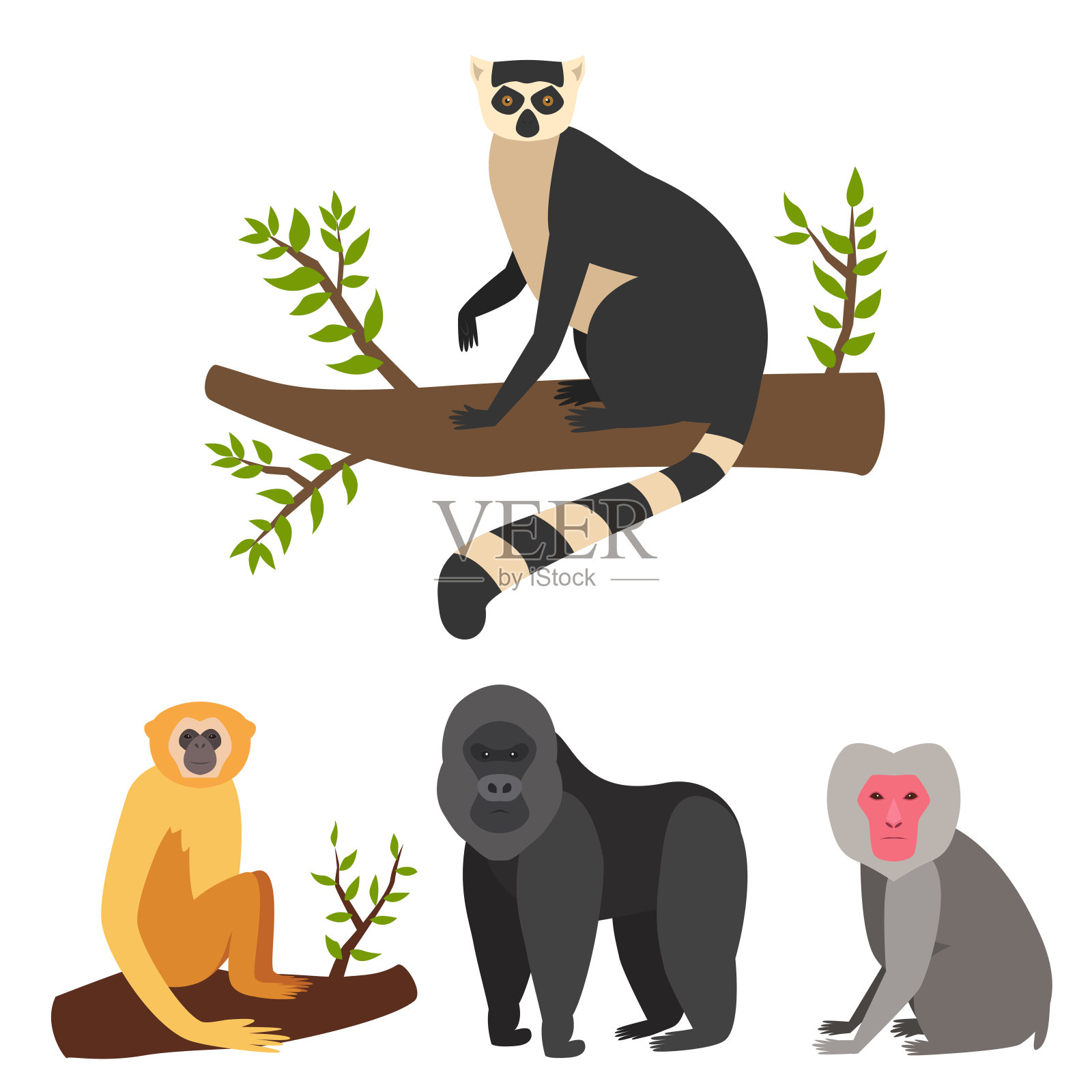 猴子角色动物不同面包野生动物园猿黑猩猩矢量插图插画图片素材