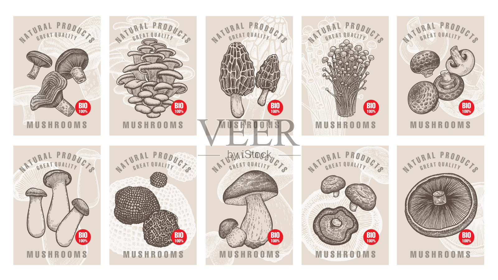 蘑菇的标签。插画图片素材