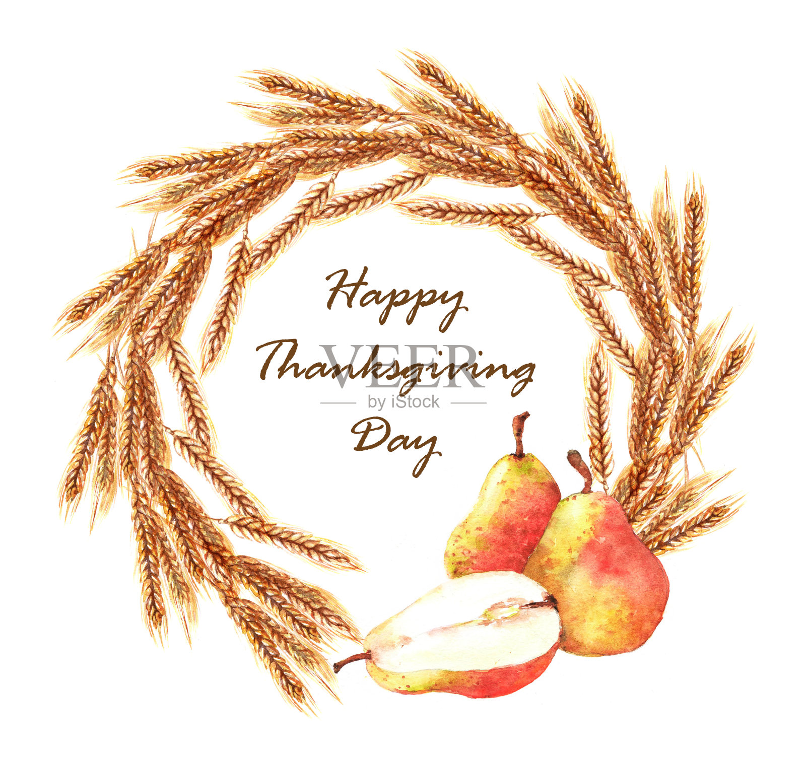 手绘水彩小麦花环与梨子孤立在白色的背景。插画图片素材