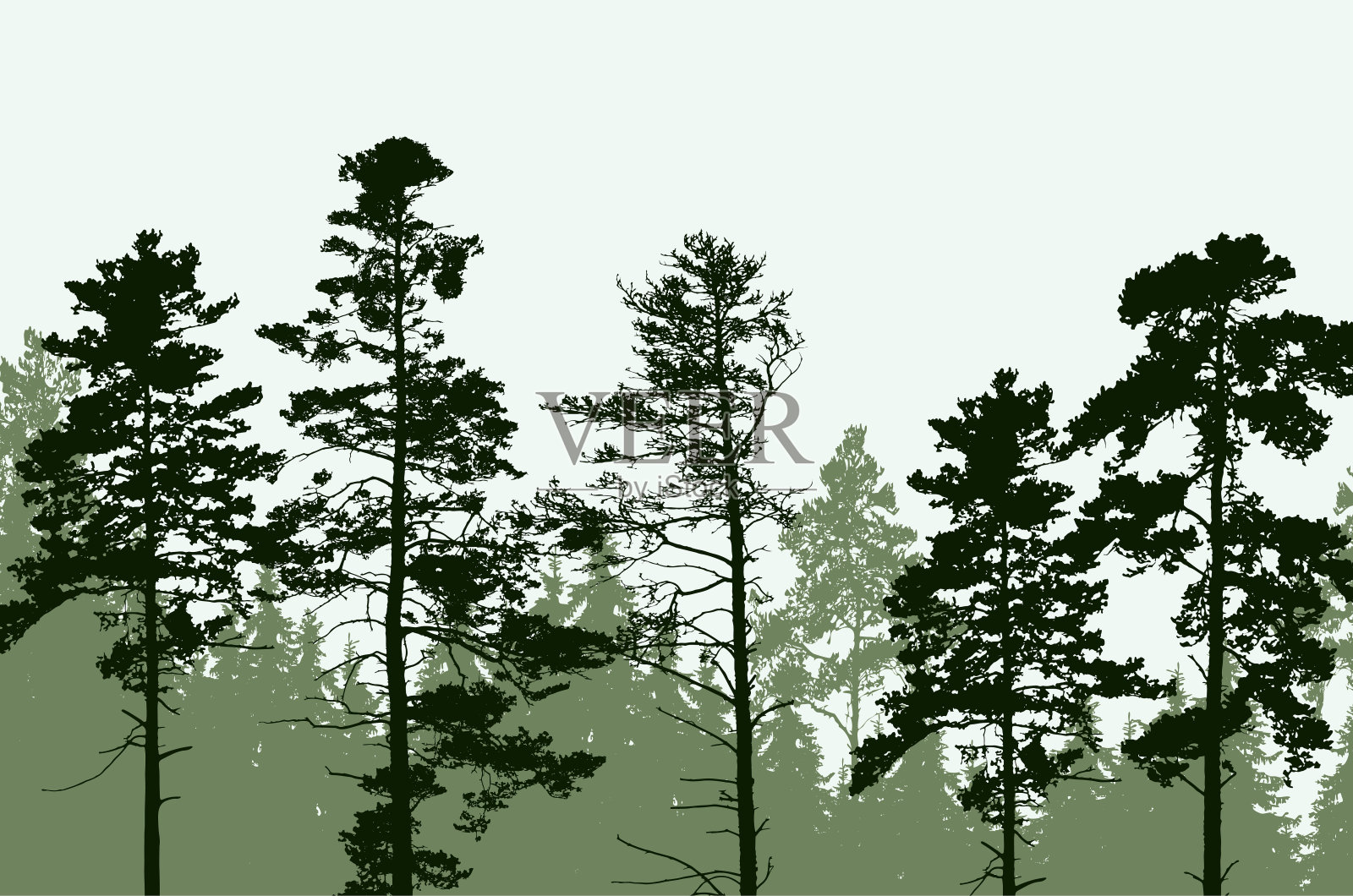 在晴朗的天空下，针叶林的树峰插画图片素材