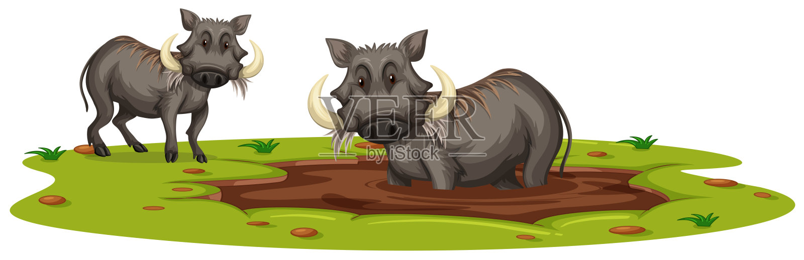 两只在泥里玩耍的野猪插画图片素材
