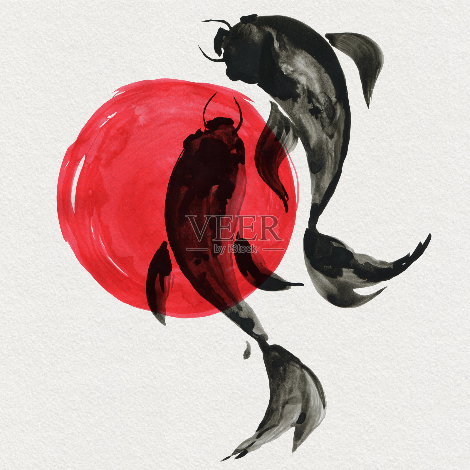 日式锦鲤。水彩手绘插画插画图片素材