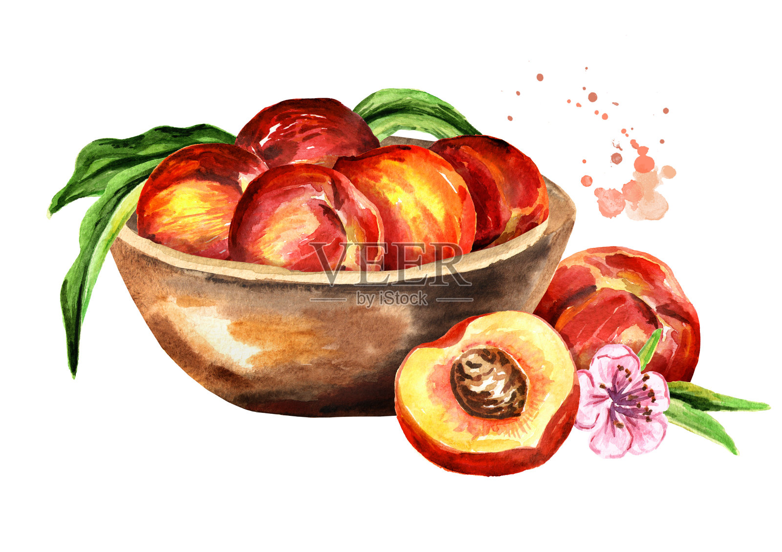 碗里装着成熟的红桃子。水彩手绘插图，孤立的白色背景插画图片素材