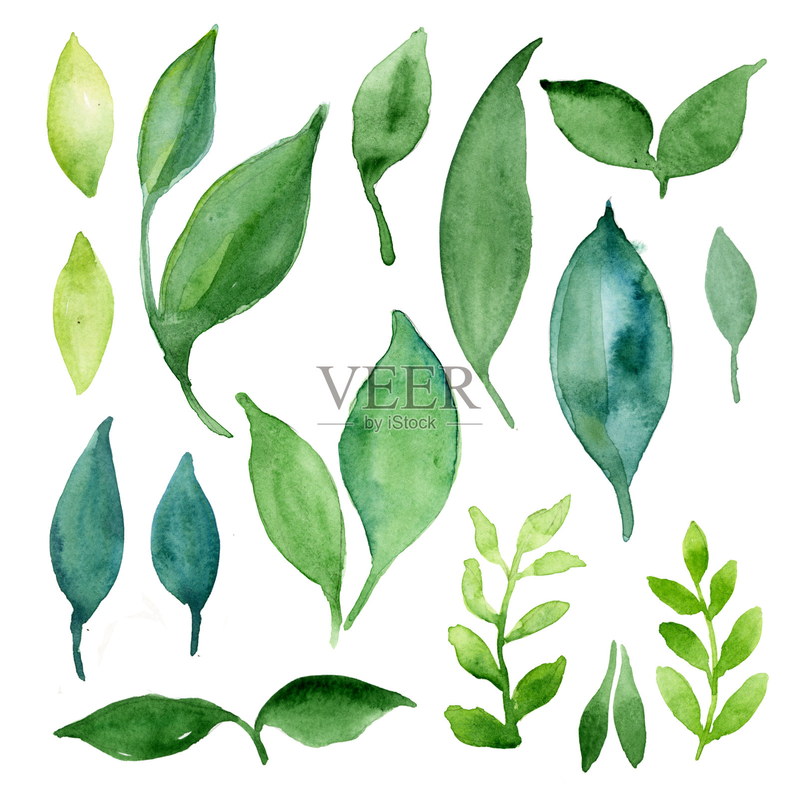 水彩画不同的叶子。绿色和蓝色的阴影插画图片素材