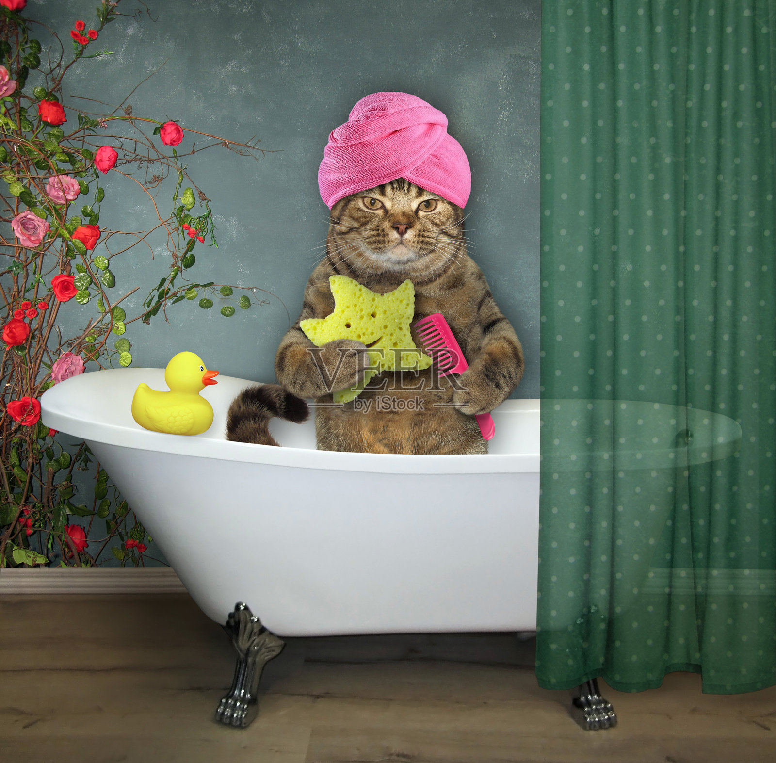 猫在浴室2照片摄影图片