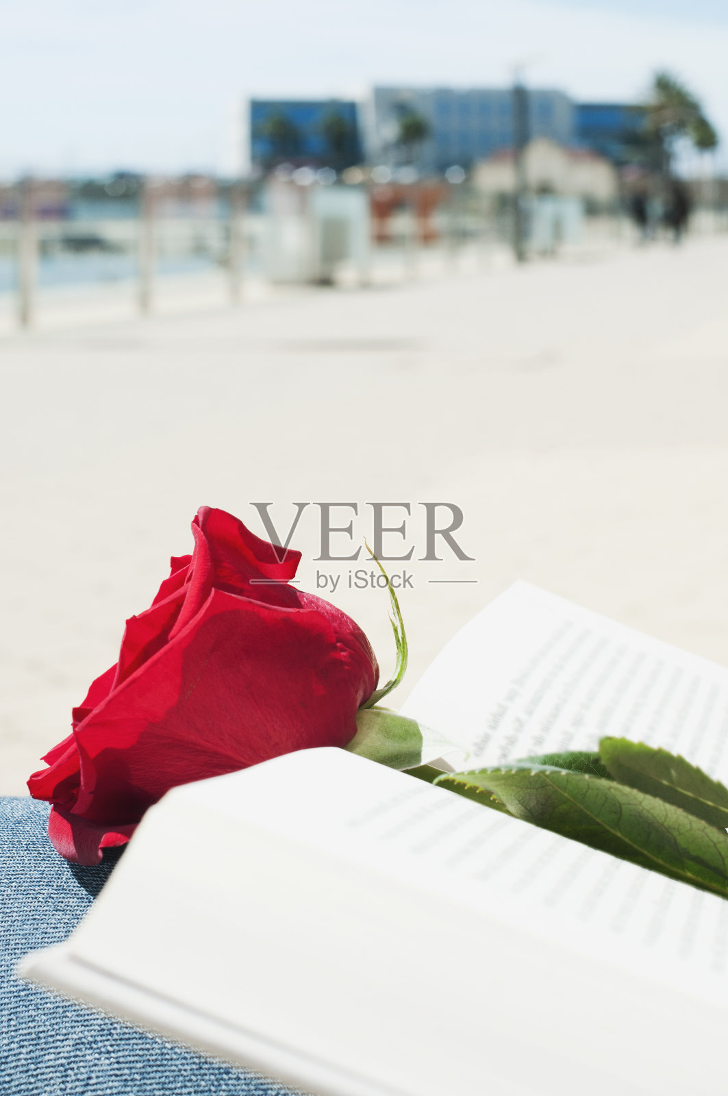 红玫瑰和书作为圣乔治日照片摄影图片
