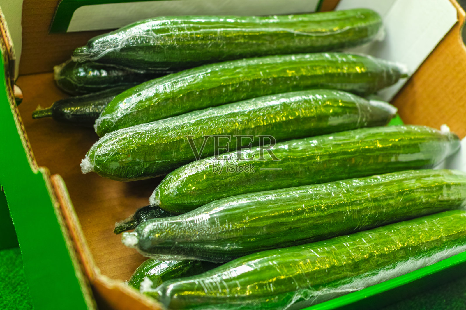 大熟长绿黄瓜包装运输，荷兰生物养殖照片摄影图片