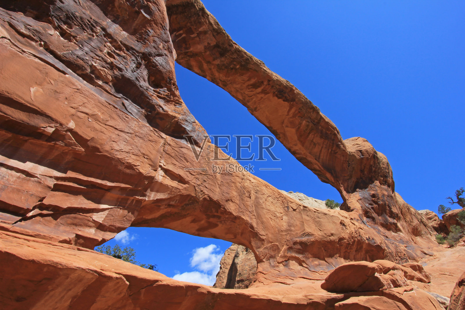 美国犹他州拱门国家公园的双O形拱门照片摄影图片