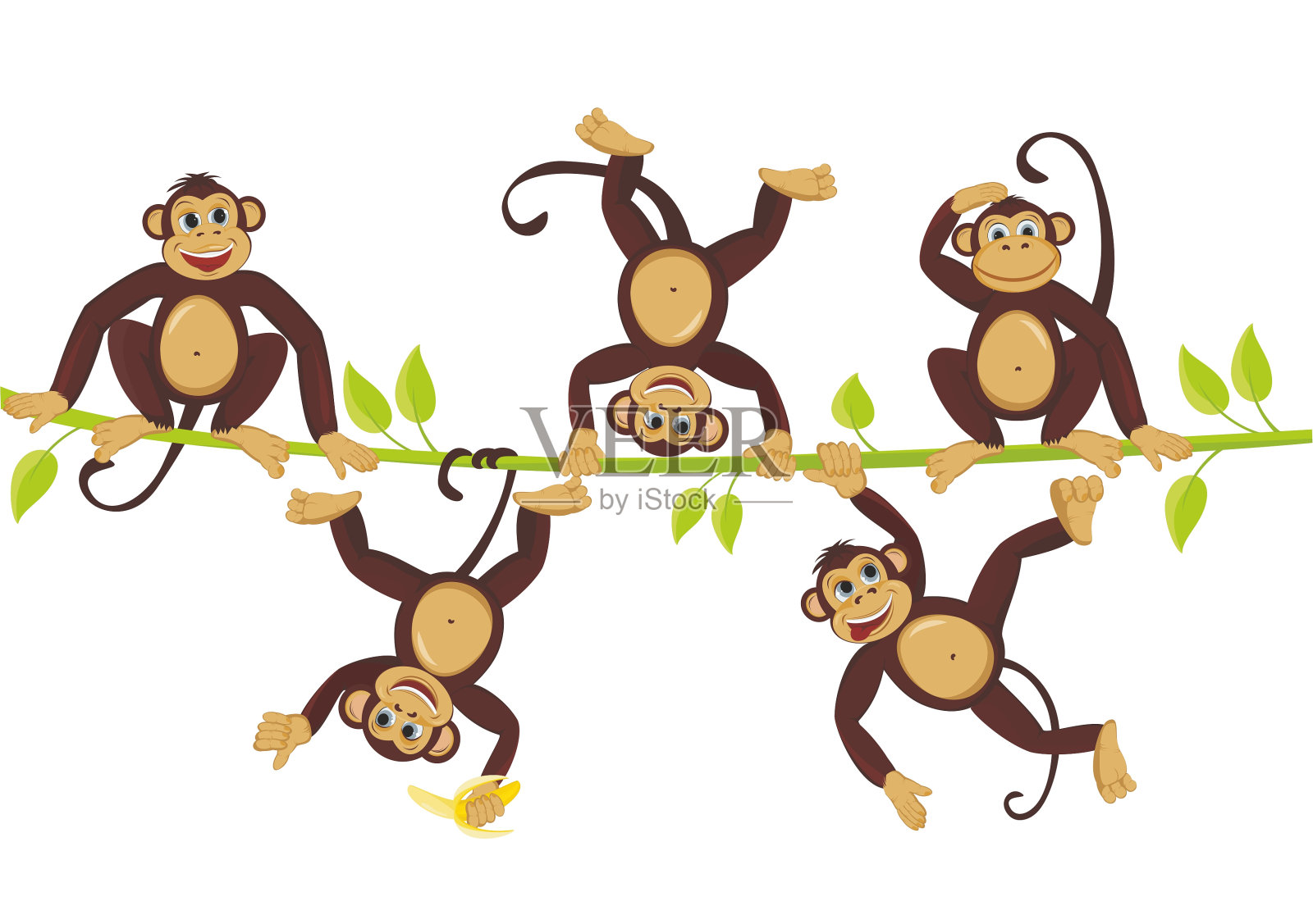 快乐的猴子在藤蔓上嬉戏插画图片素材