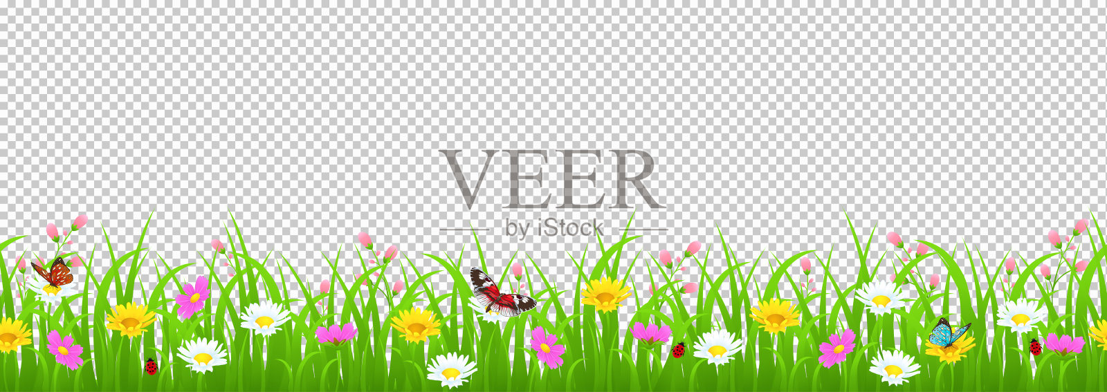 花和草的边界，黄色和白色的洋甘菊和精致的粉红色草地花和绿色的草，蝴蝶和瓢虫在透明的背景，矢量插图，卡片装饰元素插画图片素材