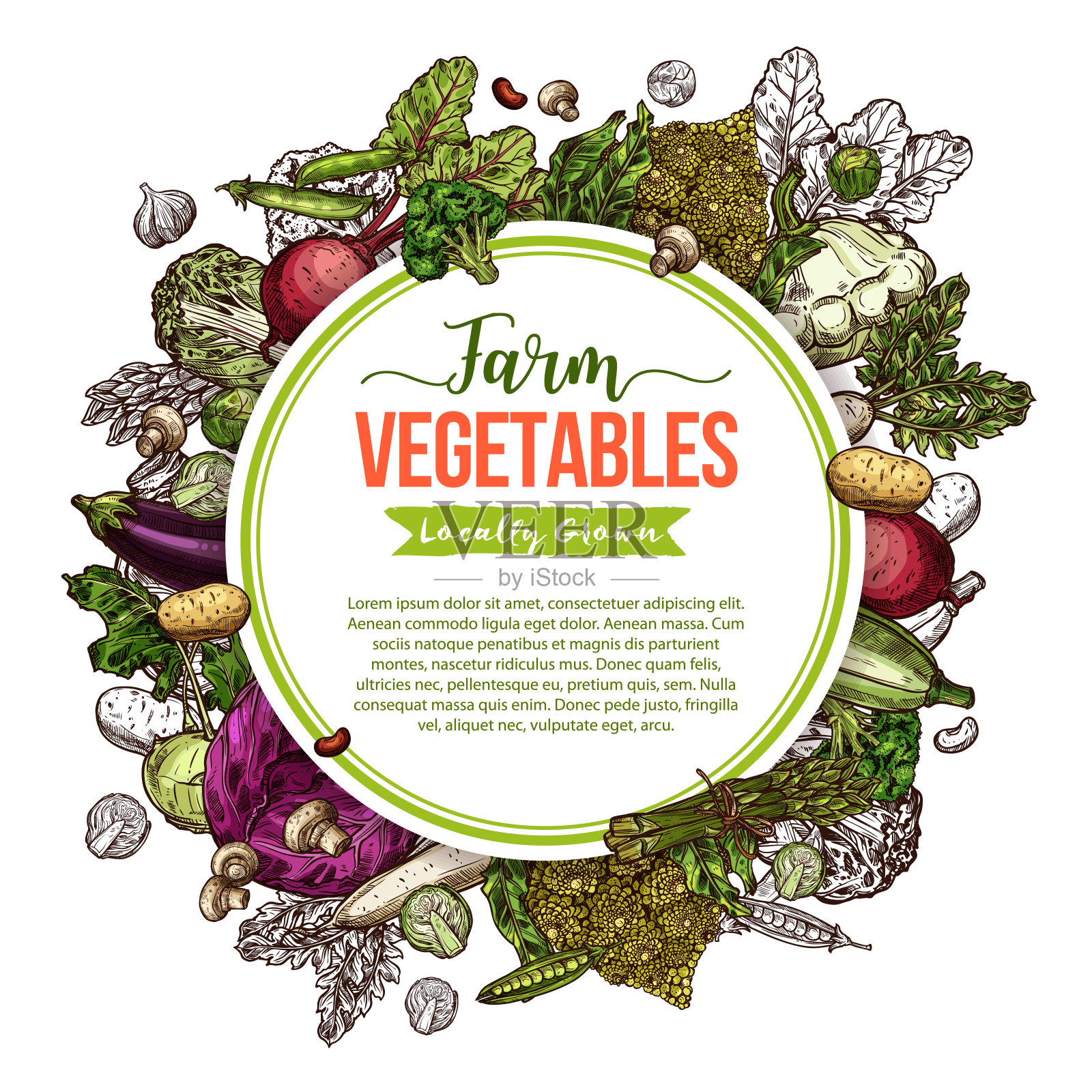 蔬菜、蘑菇、豆类速写画框海报插画图片素材