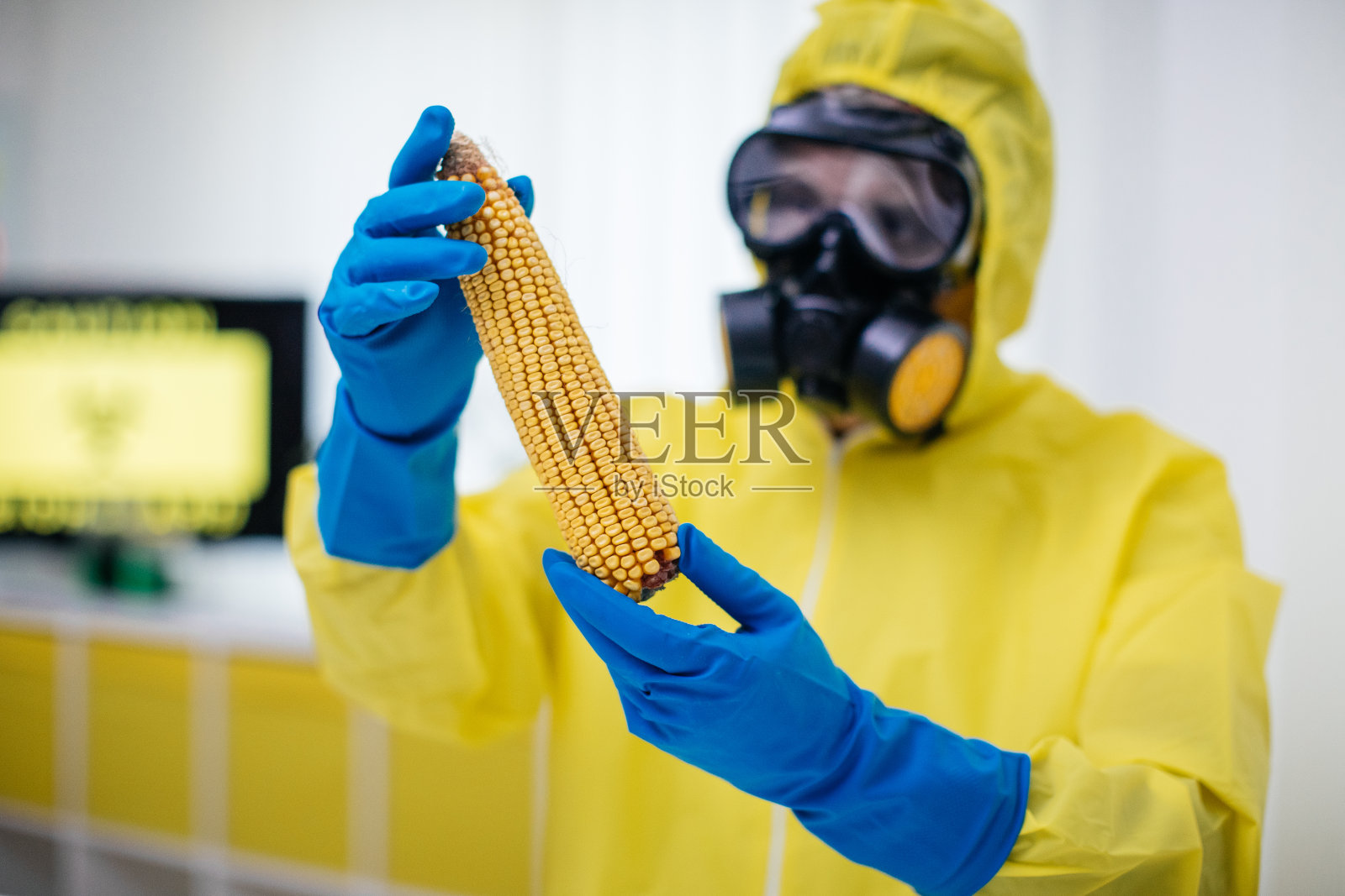 科学家在实验室对玉米进行实验照片摄影图片