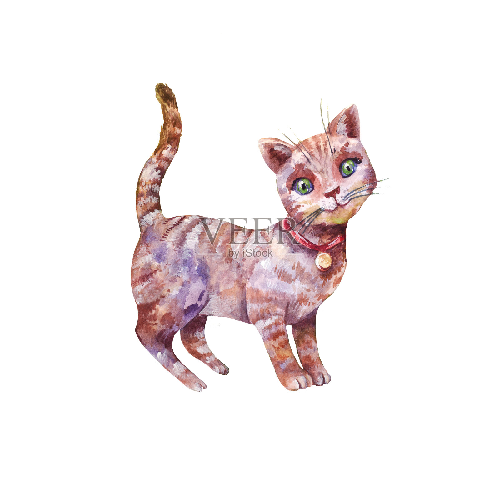 水彩可爱的灰色小猫孤立插画图片素材