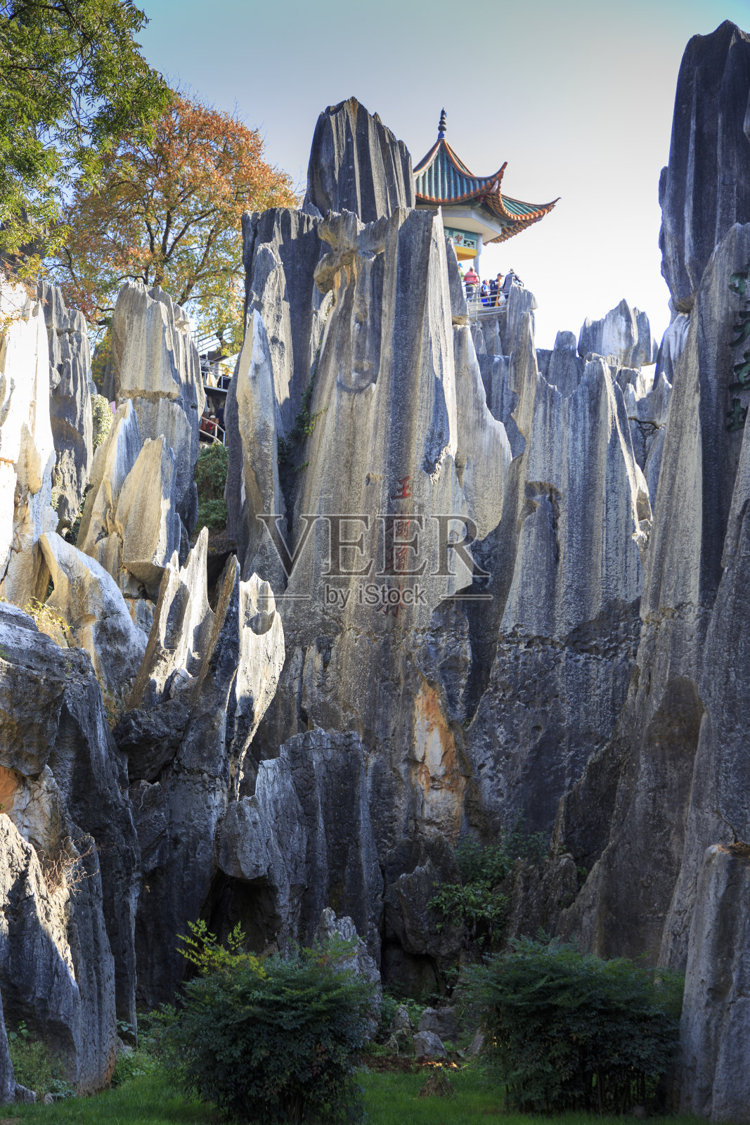 中国云南昆明附近的石林照片摄影图片