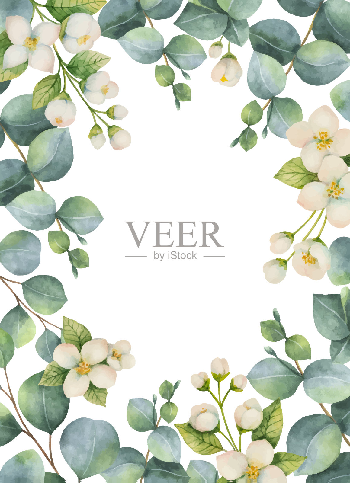 水彩向量绿色花卡与桉树叶，茉莉花和树枝孤立在白色的背景。设计元素图片