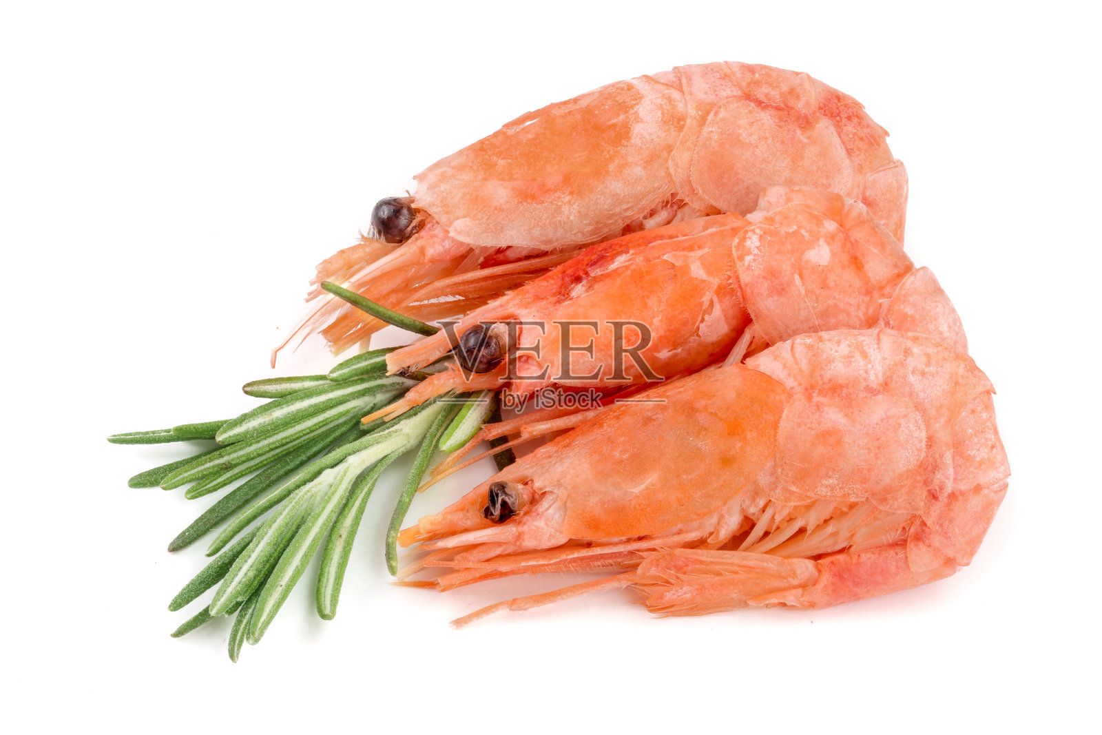 红色煮虾或虾与迷迭香孤立在白色背景照片摄影图片