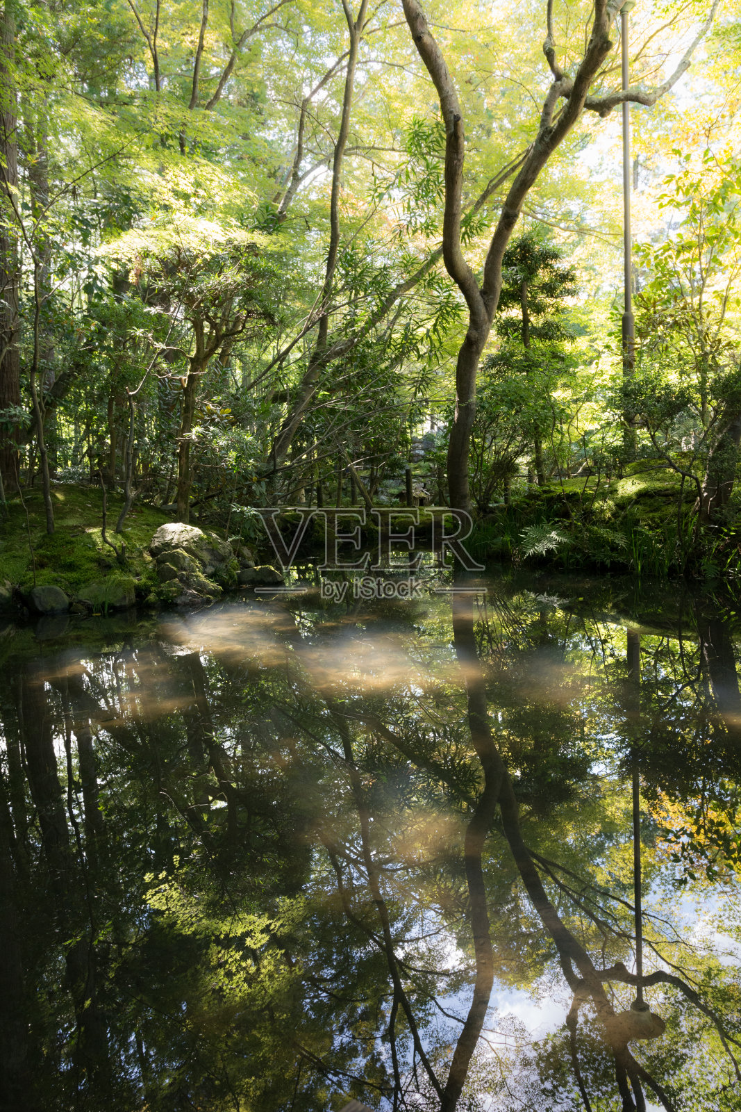 日本东方绿色园林景观和池塘照片摄影图片