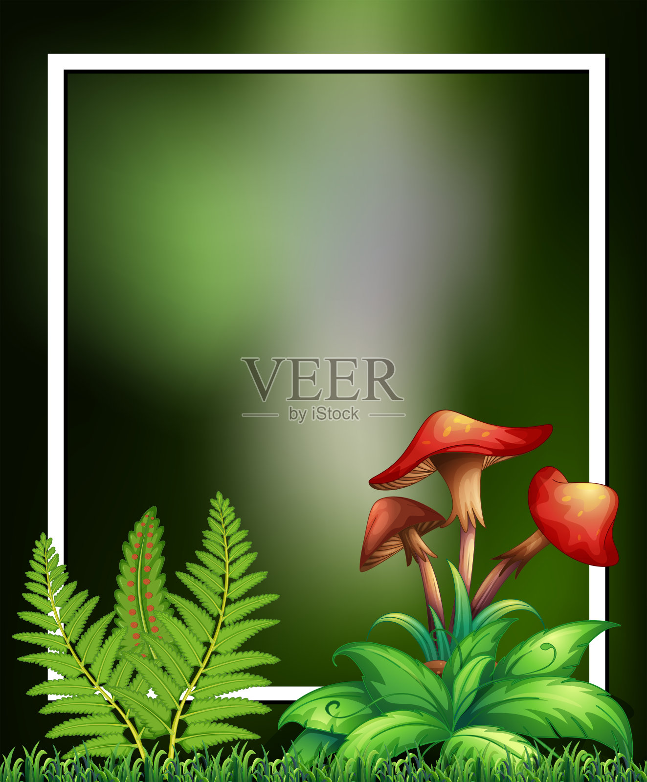 天然植物和蘑菇绿色框架插画图片素材