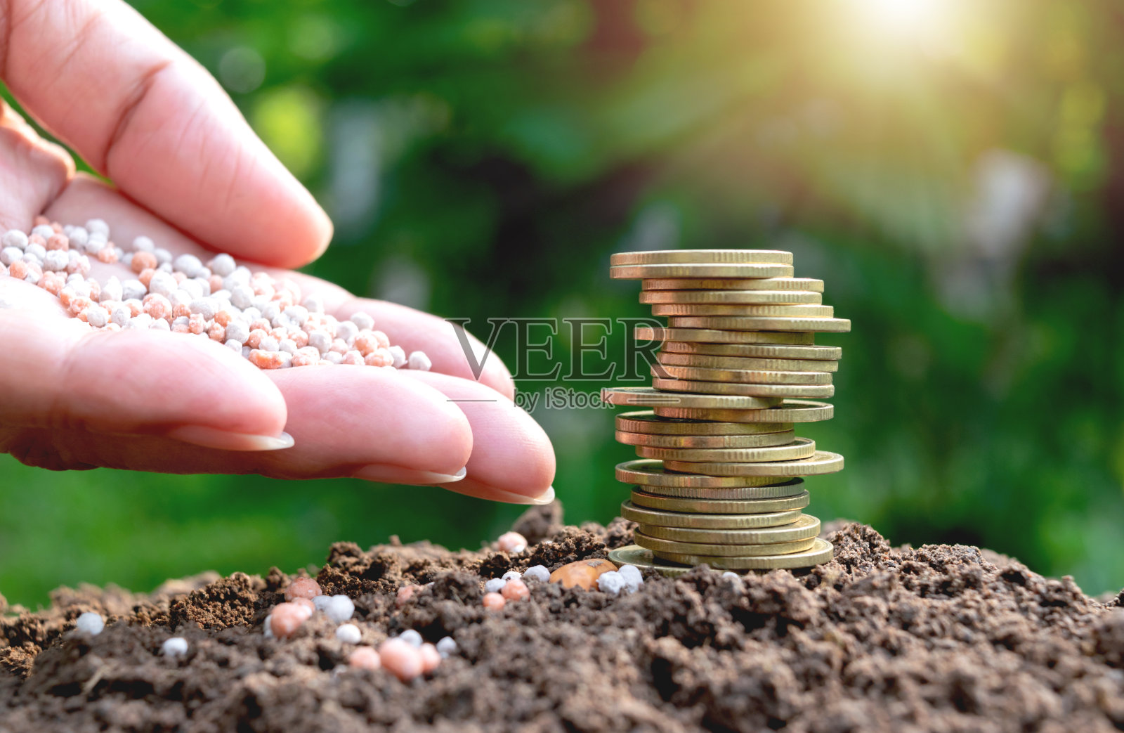 手握硬币上的土壤节约种植概念。照片摄影图片