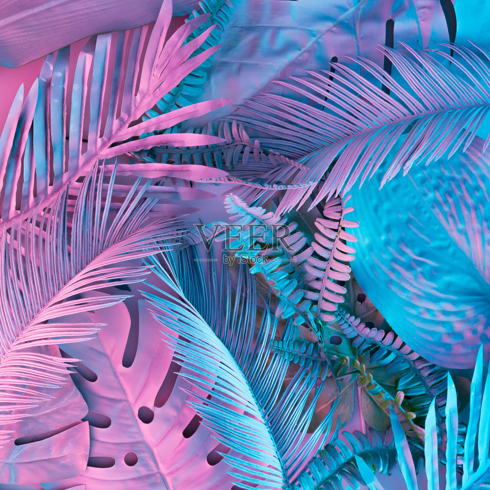 热带和棕榈叶在充满活力的大胆梯度全息霓虹颜色。概念艺术。最小的超现实主义的背景。照片摄影图片