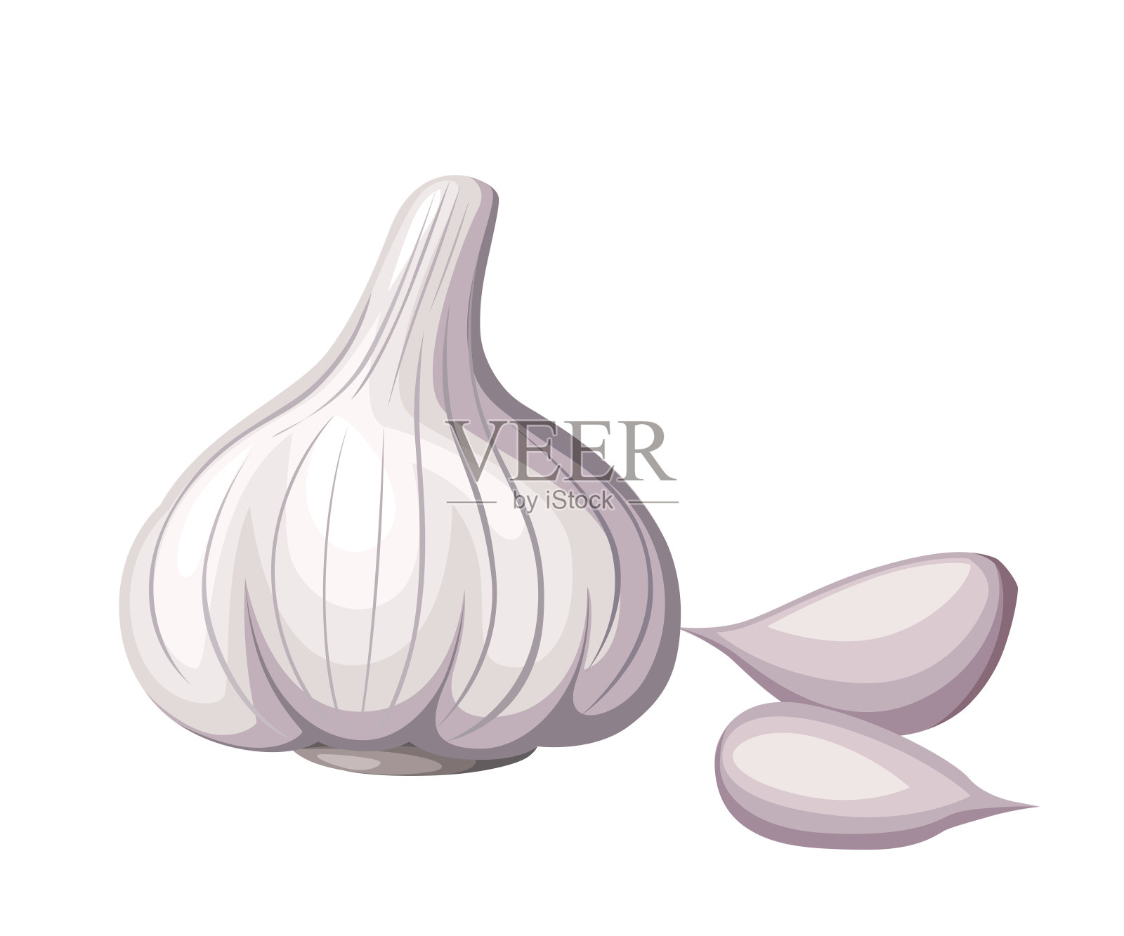 新鲜的白色大蒜和蒜片蔬菜从花园有机食物矢量插图孤立在白色背景的网站页面和移动应用程序设计插画图片素材