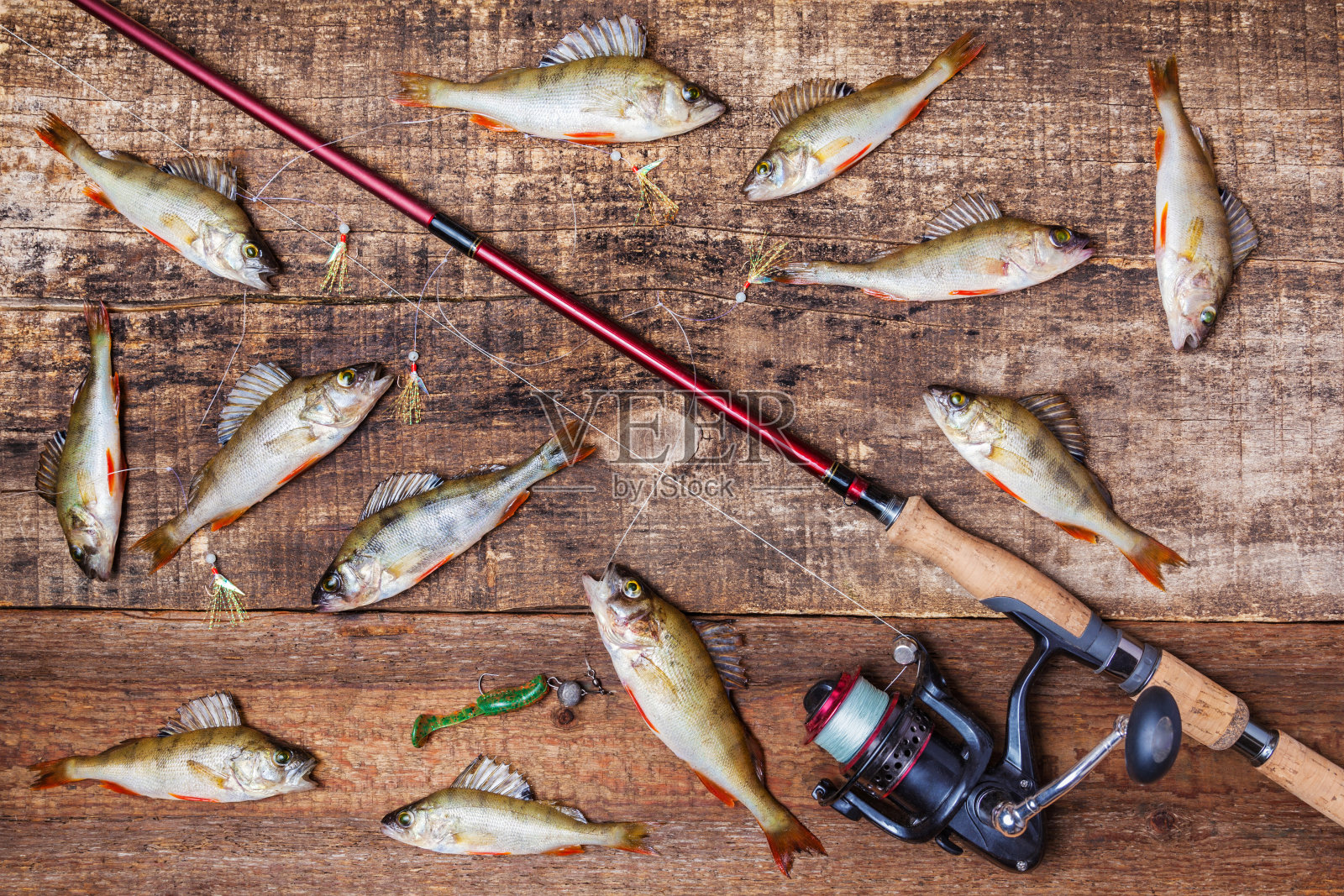 旋转，鱼和鱼饵在木制的背景照片摄影图片