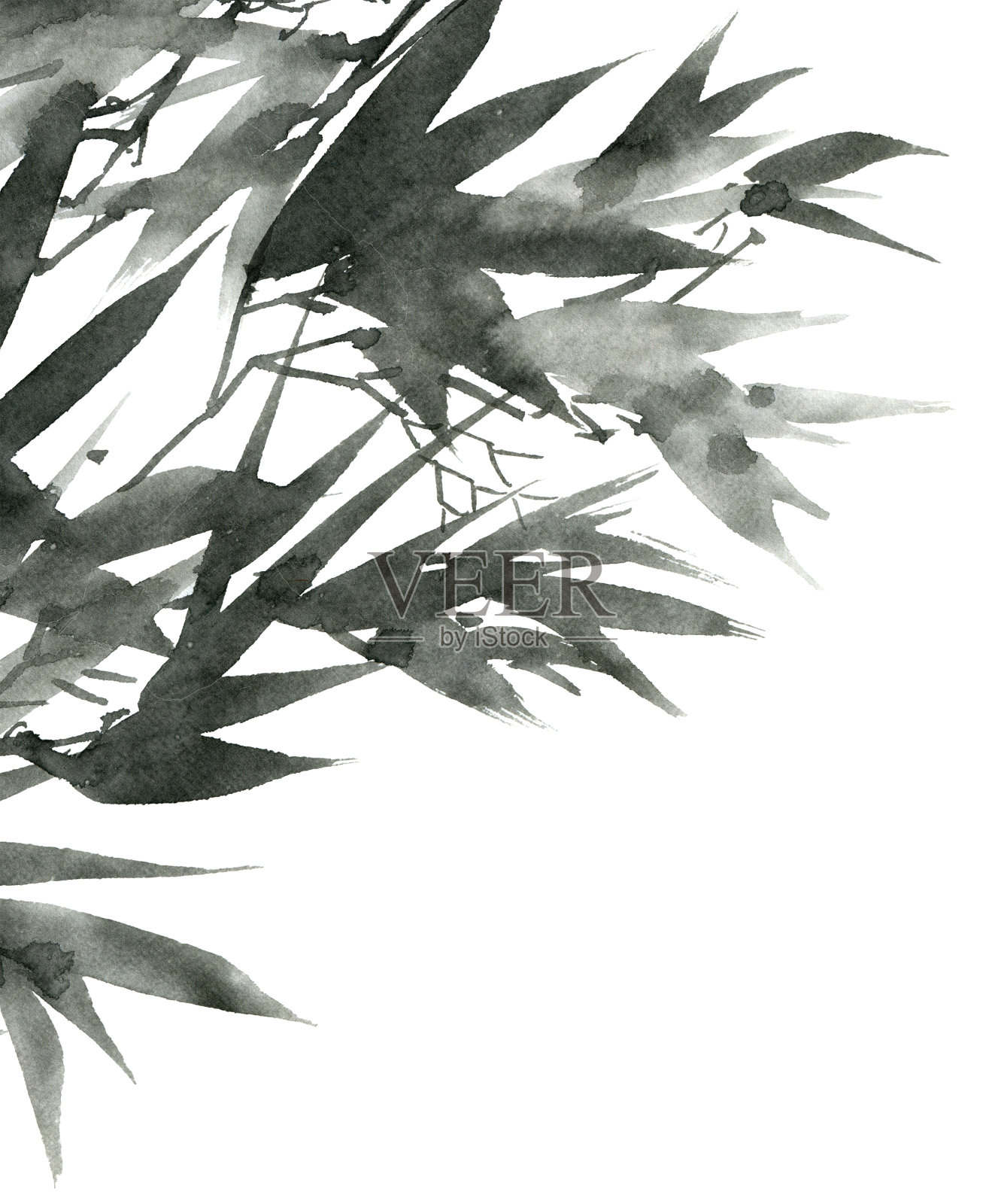热带竹叶插画图片素材