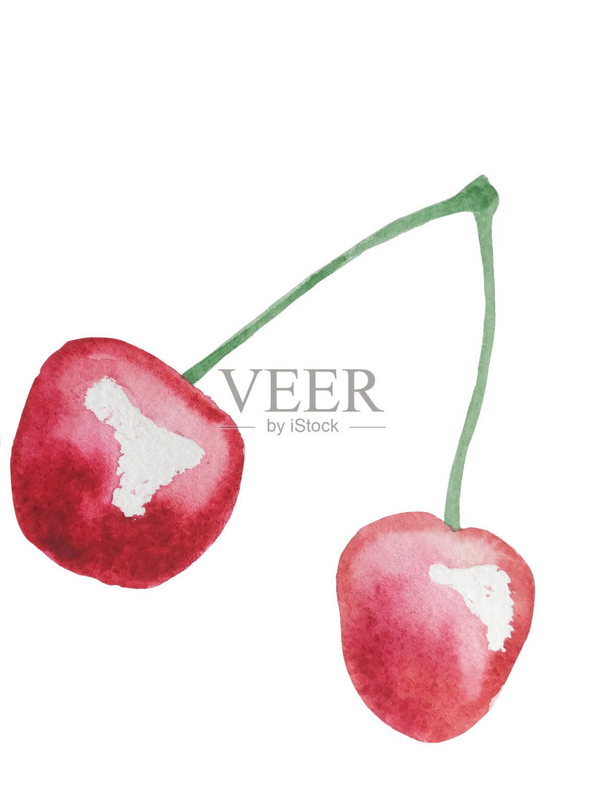樱桃红浆果水彩插图孤立插画图片素材